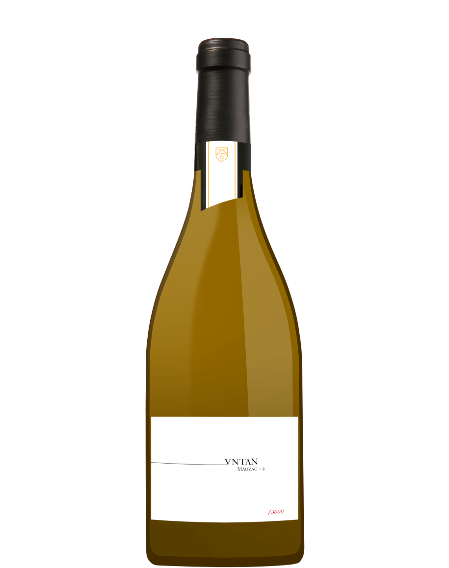 Bouteille d’Antan Mauzac N°2 - Vignobles Gayrel, vin blanc sec AOP Gaillac, élevé 12 mois en barrique