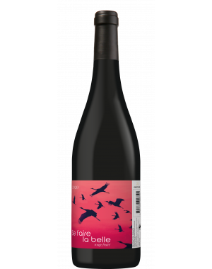 Bouteille de Vin Rouge Fruité - Se Faire La Belle - Vignobles Gayrel, robe aux éclats violacés, arômes de fruits rouges et noirs